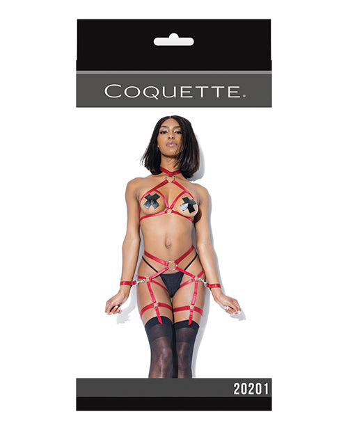 Play Darque Halter Top, Crtchlss Pnty, Gartrs & Restraints (Psties & G Not Included) Merlot O/S