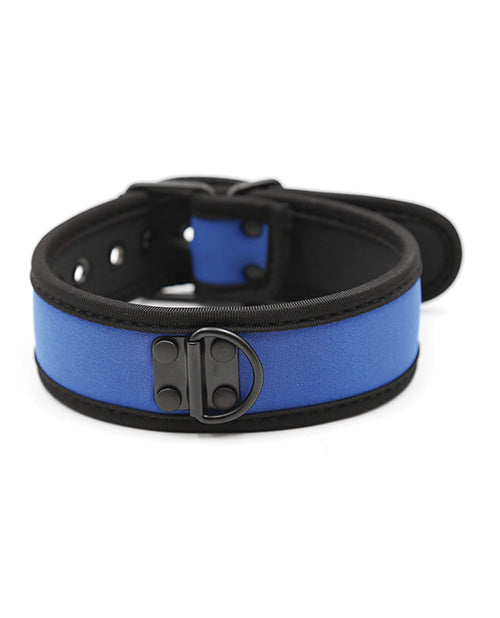 Plesur Neoprene Puppy Collar - Blue - Empower Pleasure