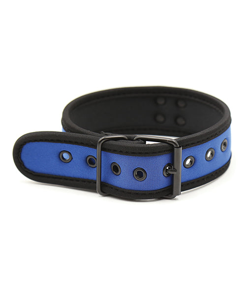 Plesur Neoprene Puppy Collar - Blue - Empower Pleasure