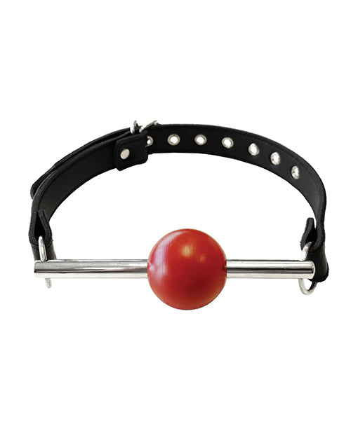 Rouge Leather Ball Gag with Stainless Steel Rod and Removable Ball - Black with Red - Empower Pleasure