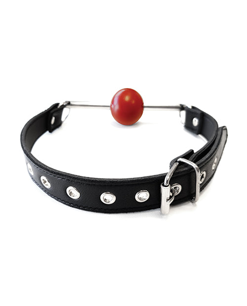 Rouge Leather Ball Gag with Stainless Steel Rod and Removable Ball - Black with Red - Empower Pleasure