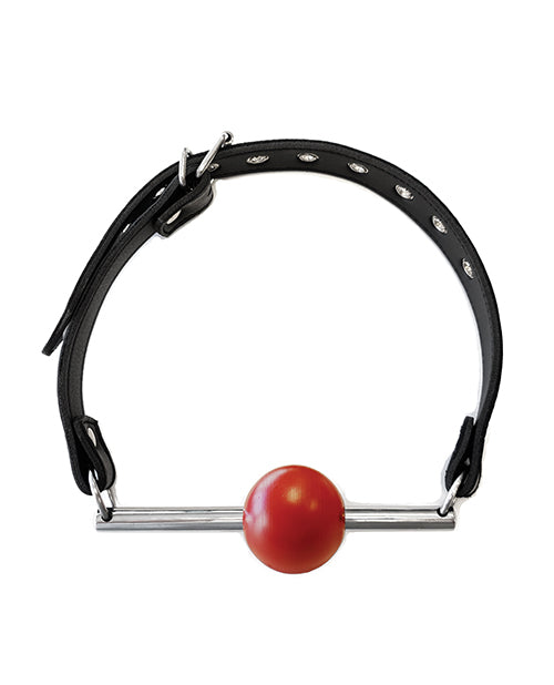 Rouge Leather Ball Gag with Stainless Steel Rod and Removable Ball - Black with Red - Empower Pleasure