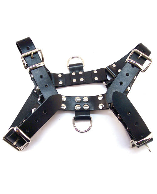 Rouge Over-the-Head Harness