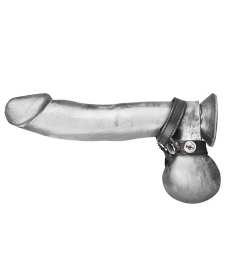 Blue Line C&B 8 Style Ball Divider - Empower Pleasure
