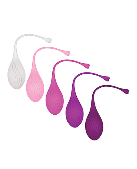 Evolved Tight & Delight 5 pc Weighted Kegel Ball Set - Assorted Colors - Empower Pleasure