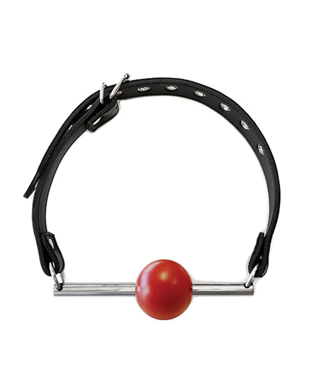 Rouge Leather Ball Gag with Stainless Steel Rod and Removable Ball - Black with Red - Empower Pleasure