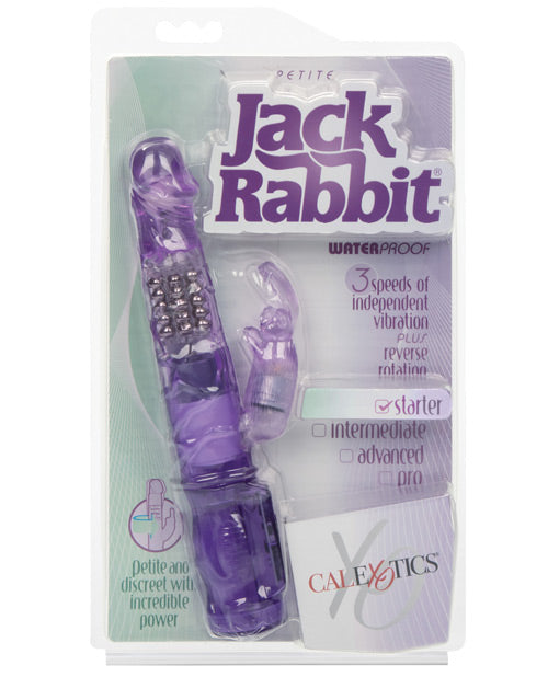Jack Rabbit Petite - Purple - Empower Pleasure